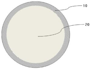 도파민계 중합체가 코팅된 입자, 이를 포함하는 입자층, 이를 포함하는 전극 및 이들의 제조 방법 Powder comprising surface coating layer, Electrode using the same and Manufacturing method thereof