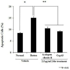 스콜로펜드라신 II를 유효성분으로 함유하는 바텐병 예방 또는 치료용 조성물(COMPOSITION FOR PREVENTION OR TREATMENT OF BATTEN DISEASE COMPRISING SCOLOPENDRASIN II AS AN ACTIVE INGREDIENT)