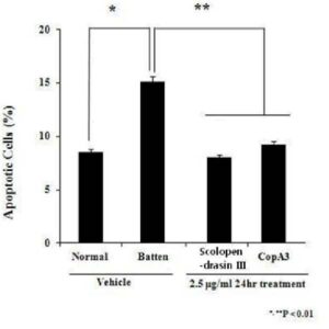 스콜로펜드라신 III을 유효성분으로 함유하는 바텐병 예방 또는 치료용 조성물(COMPOSITION FOR PREVENTION OR TREATMENT OF BATTEN DISEASE COMPRISING SCOLOPENDRASIN III AS AN ACTIVE INGREDIENT)