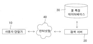 꽃 이름 검색 시스템 및 방법 Flower name search system and method