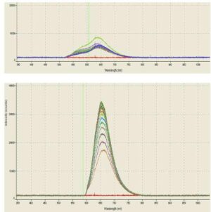 형광물질의 광열화성 억제방법 Methods for Inhibiting Photobleaching of Fluorescent Materials