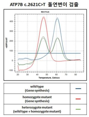 윌슨 병 원인 유전자 돌연변이 검출을 위한 PNA 프로브 및 이를 이용하는 윌슨 병의 진단 방법 PNA probe for detecting causative gene mutation of Wilson disease and the method of diagnosis using the same