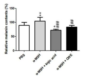 지황 열수 추출물을 유효성분으로 함유하는 피부 미백용 또는 색소 침착 개선용 화장료 조성물 Use of hot water extract from Rehmannia glutinosa for the whitening cosmetics to prevent pigmentation