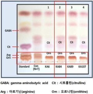 엔트로코커스 페시움 KA84 균주 및 이를 이용한 오르니틴 생산 방법 Enterococcus faecium KA84 and method for production of ornithine using the same