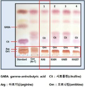바실러스 리체니포르미스 KA6 균주 및 이를 이용한 오르니틴 생산 방법 Bacillus licheniformis KA6 and method for production of ornithine using the same