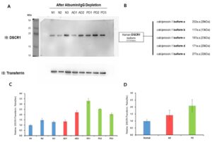 퇴행성 신경질환 진단용 조성물 Composition for diagnosing neurodegenerative disease