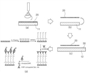 나노섬유를 이용한 면역검사방법 Method of immunoassay using nanofiber