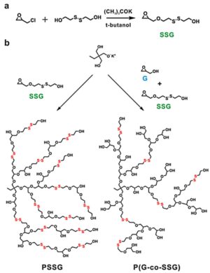다이설파이드 결합을 갖는 고분지형 폴리글리세롤 HYPERBRANCHED POLYGLYCEROL HAVING DISULFIDE BONDS