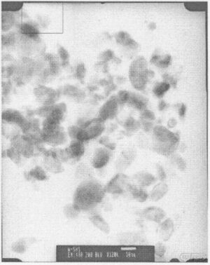 아연환원제를 이용한 저온에서의 텅스텐 나노분말의제조방법