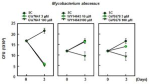 결핵균 또는 비결핵항산균 감염 질환 치료용 약학 조성물