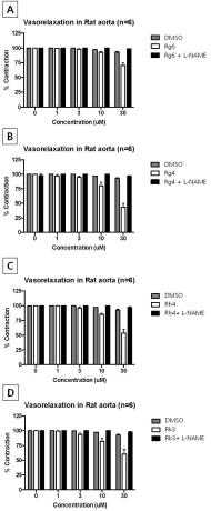 진세노사이드 Rg6, Rg4, Rh4 및 Rk3를 유효성분으로 포함하는 고혈압 또는 당뇨병성 족부궤양의 예방 또는 치료용 조성물