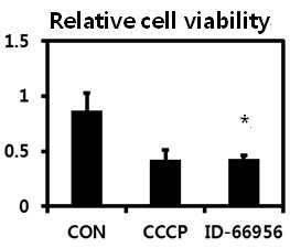 암 예방 및 치료용 조성물