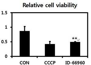암 예방 및 치료용 조성물
