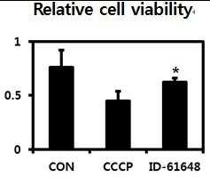 암 예방 및 치료용 조성물