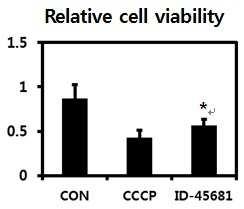 암 예방 및 치료용 조성물