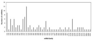 배추에서 분리된 신규 ｍｉＲＮＡ인 BrMiR 156b