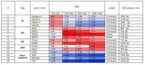 방사선량 감지용 키트