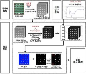 발아억제 처리된 유전자 변형 옥수수 종자의 비파괴 판별방법