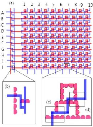 미세자기영동 채널회로 및 자성구조체를 이용한 바이오물질의 이송, 트래핑 및 탈출 장치