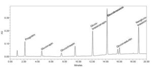 글루코브라씨신 함량이 증가된 배추 품종 및 이의 육종 방법