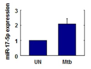 결핵 진단용 바이오마커 마이크로 RNA