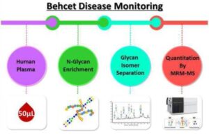 N-당사슬 크로마토그램 피크의 상대정량에 의한 질병 스크리닝 방법