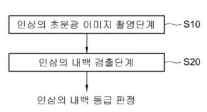 초분광 NIR 영상을 이용한 인삼의 내부 내백 등급 판정시스템 및 판정방법