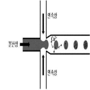 단분산성 고분자 하이드로젤 미세입자 제조 방법