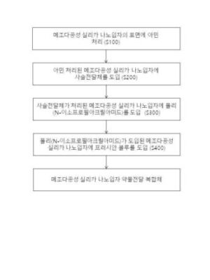 메조다공성 실리카 나노입자 약물전달 복합체 및 그 제조방법