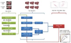 한우 등심 영상정보를 이용한 근내지방 섬세도 측정방법