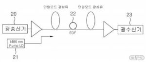 원격 펌핑 광증폭기를 이용하는 수동형 광가입자망 시스템