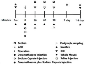 덱사메타손 및 소듐 카프르산을 포함하는 내이 전달용 조성물