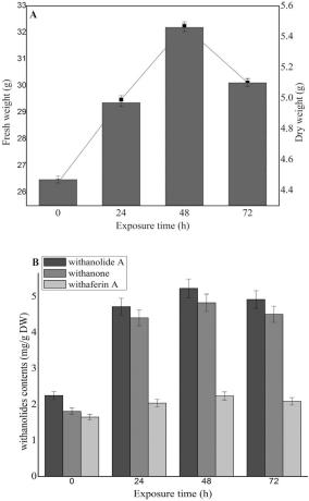 해조류 추출물을 이용한 위타니아 솜니페라 유래의 스테로이드계 락톤의 생산 방법