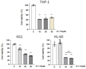 ERR-α 억제제를 유효성분으로 하는 백혈병 치료용 약학 조성물