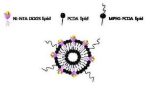폴리다이아세틸렌 리포좀 바이오센서 및 이의 제조방법
