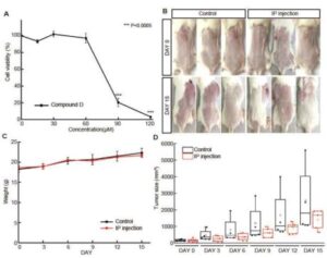 항암치료용 약학 조성물 및 이의 제조방법