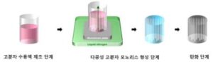 다공성 탄소 모노리스 및 이의 제조 방법