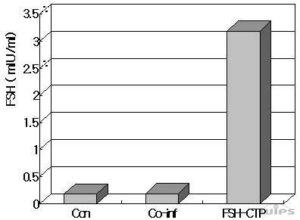 재조합 ｈＦＳＨ 유전자 및 이를 내장하는 발현용 벡터