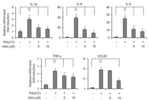 살비아놀릭산 A를 유효성분으로 포함하는 염증성 피부 질환 예방 또는 치료용 조성물