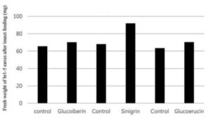 시니그린을 유효성분으로 함유하는 식물 해충 기피용 조성물 및 이의 용도