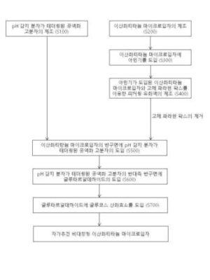 자가추진 비대칭형 이산화티타늄 마이크로입자 및 그 제조방법