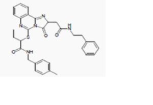 세포내 결핵균 제어를 위한 p53 발현 조절 가능한 조성물 (K279-1558) 또는 방법