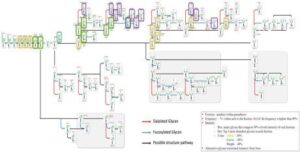 인간 혈청 당쇄 지도 및 이를 이용하여 혈청 시료를 검증하는 방법