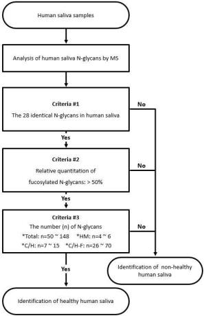 인간 타액을 확인하는 방법