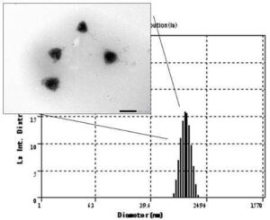 티카그렐러를 포함하는 자가 미세유화 약물전달시스템 조성물 및 이의 제조방법