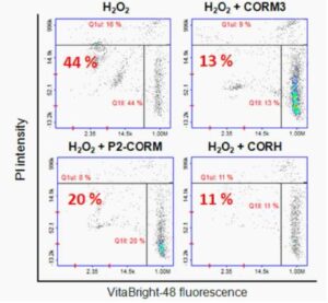 일산화탄소 방출용 하이드로겔 조성물 및 그 제조방법