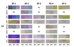 신규한 베테인계 염료 화합물, 베테인계 염료 조성물 및 이를 이용한 제품
