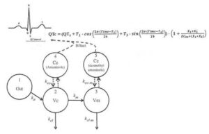 약물에 의한 QT 연장증후군 예측 모델