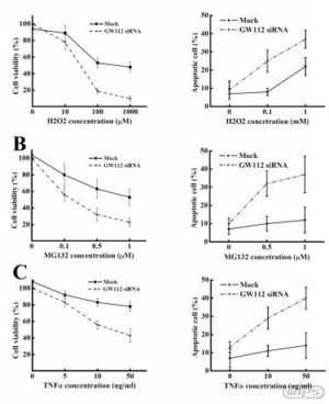 암 발생을 억제하기 위한 ＧＷ112 유전자 및 이를 이용한항암제 스크리닝 방법