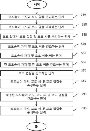포도차 조성물 및 그 제조방법 Grape tea composition and manufacturing method